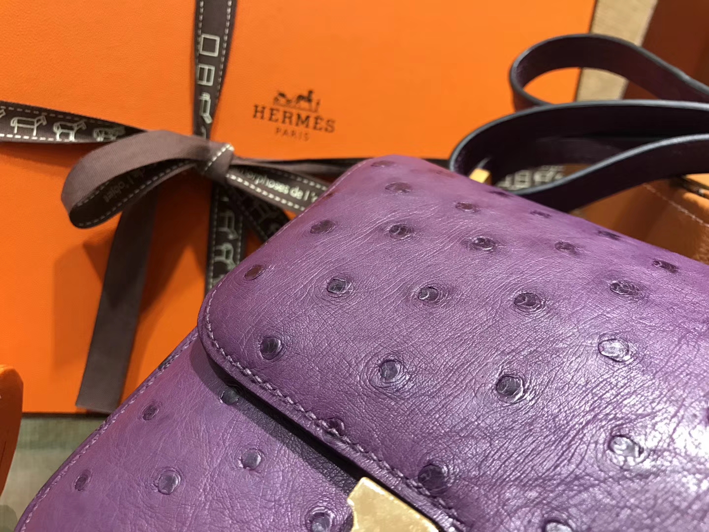 Hermès（爱马仕）Constance 18cm 海葵紫 南非进口鸵鸟 KK级别 顶级全手工 金扣