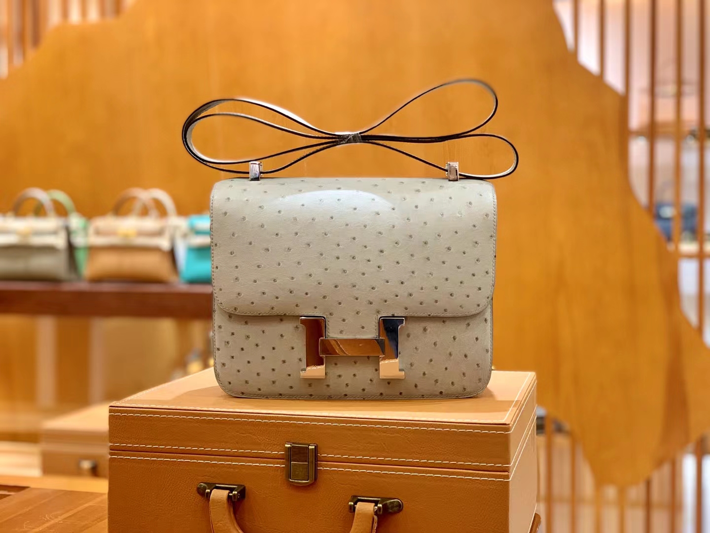 Hermès（爱马仕）Constance 康康 冰川灰 南非KK鸵鸟皮 银扣 24cm 原版蜜蜡线 顶级手缝